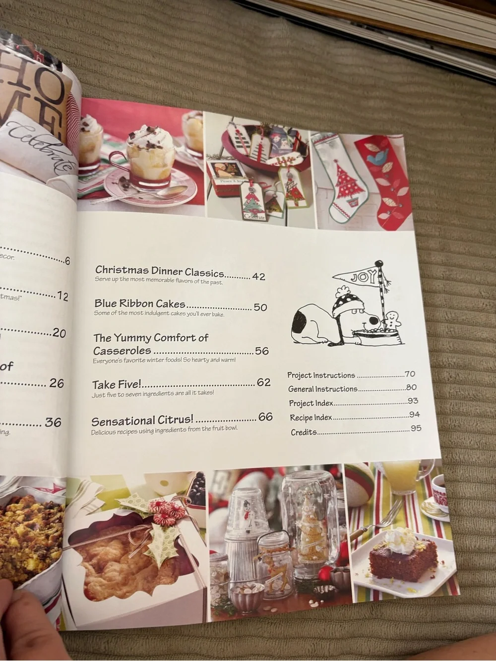 Christmas 2012 Candy Cane Party Cookbook